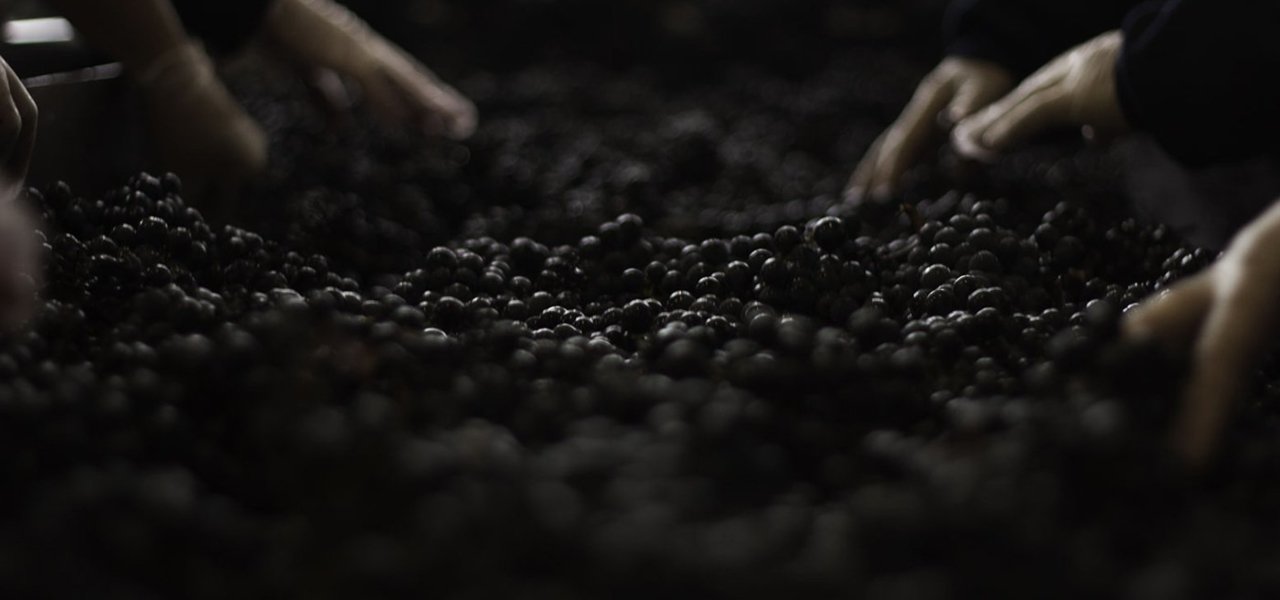 winery visits at Chateau Leoville Poyferre