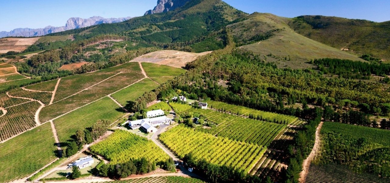 Marianne Wine Estate