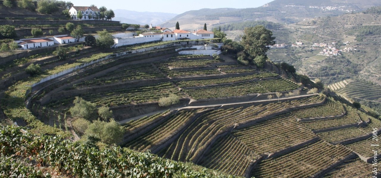 visit quinta do noval