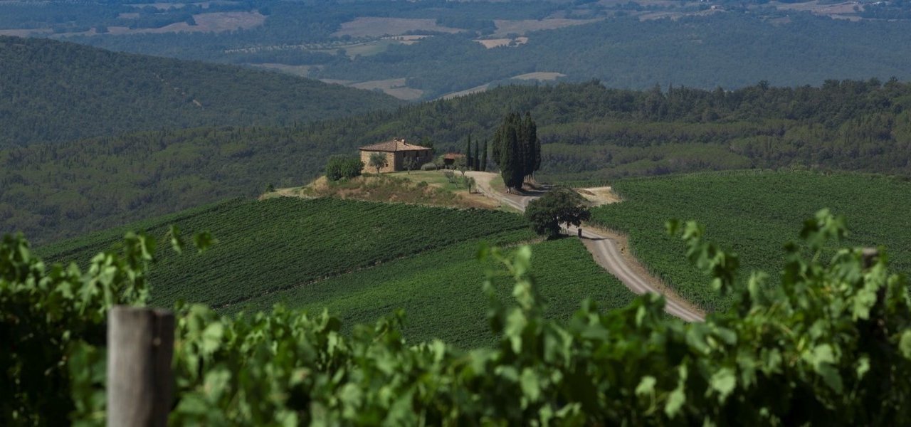 Castiglion Del Bosco - Wine Paths
