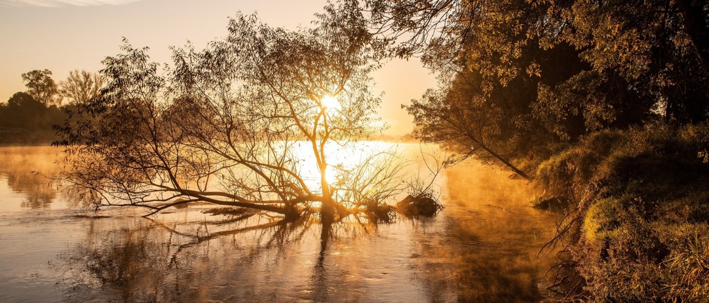 Romantic Loire - Wine Paths