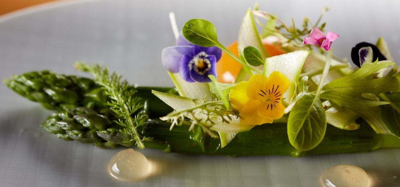 gourmet restaurant in provence - Wine Paths