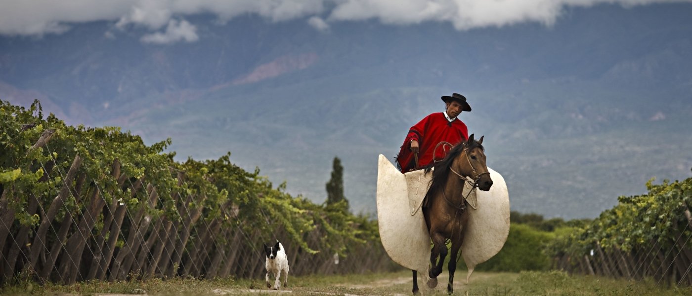 Best wineries and wine tours in Argentina