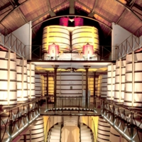 Partner Rémy Martin, rooted in exception since 1724 photo