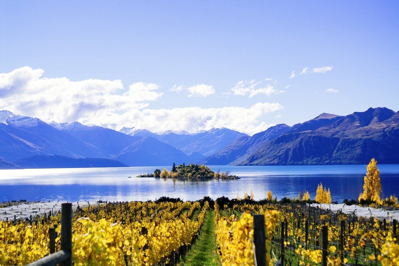 new zealand wine tastings - Wine Paths