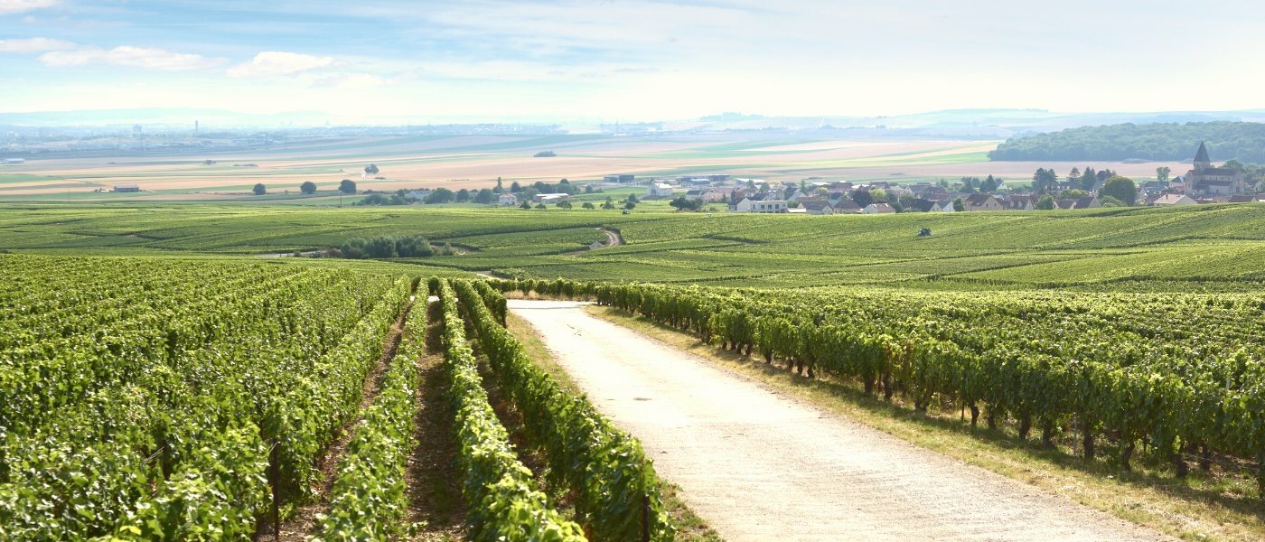 Champagne region - Wine Paths