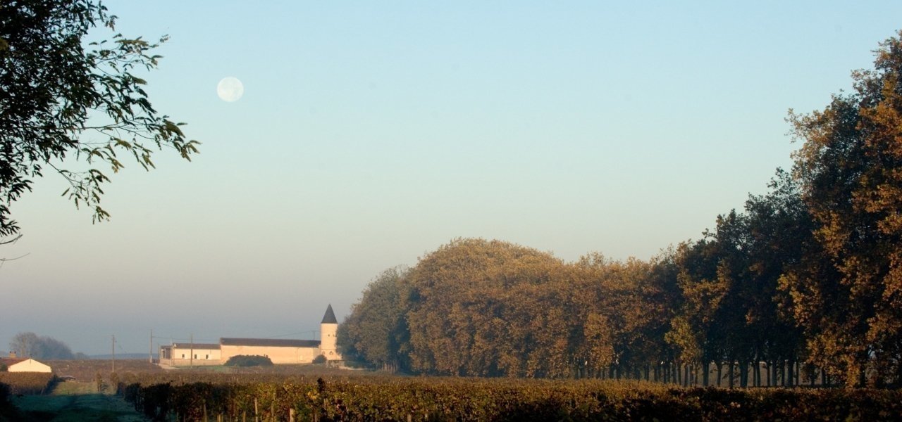 Winery Chateau Guiraud