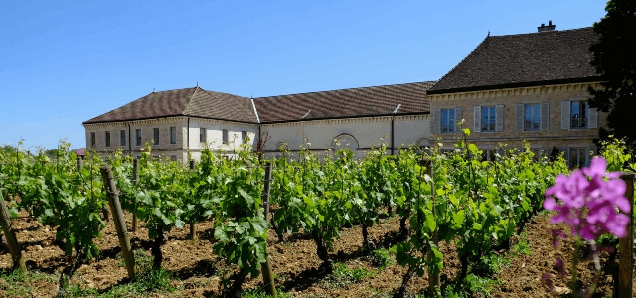 Château de Chassagne-Montrachet