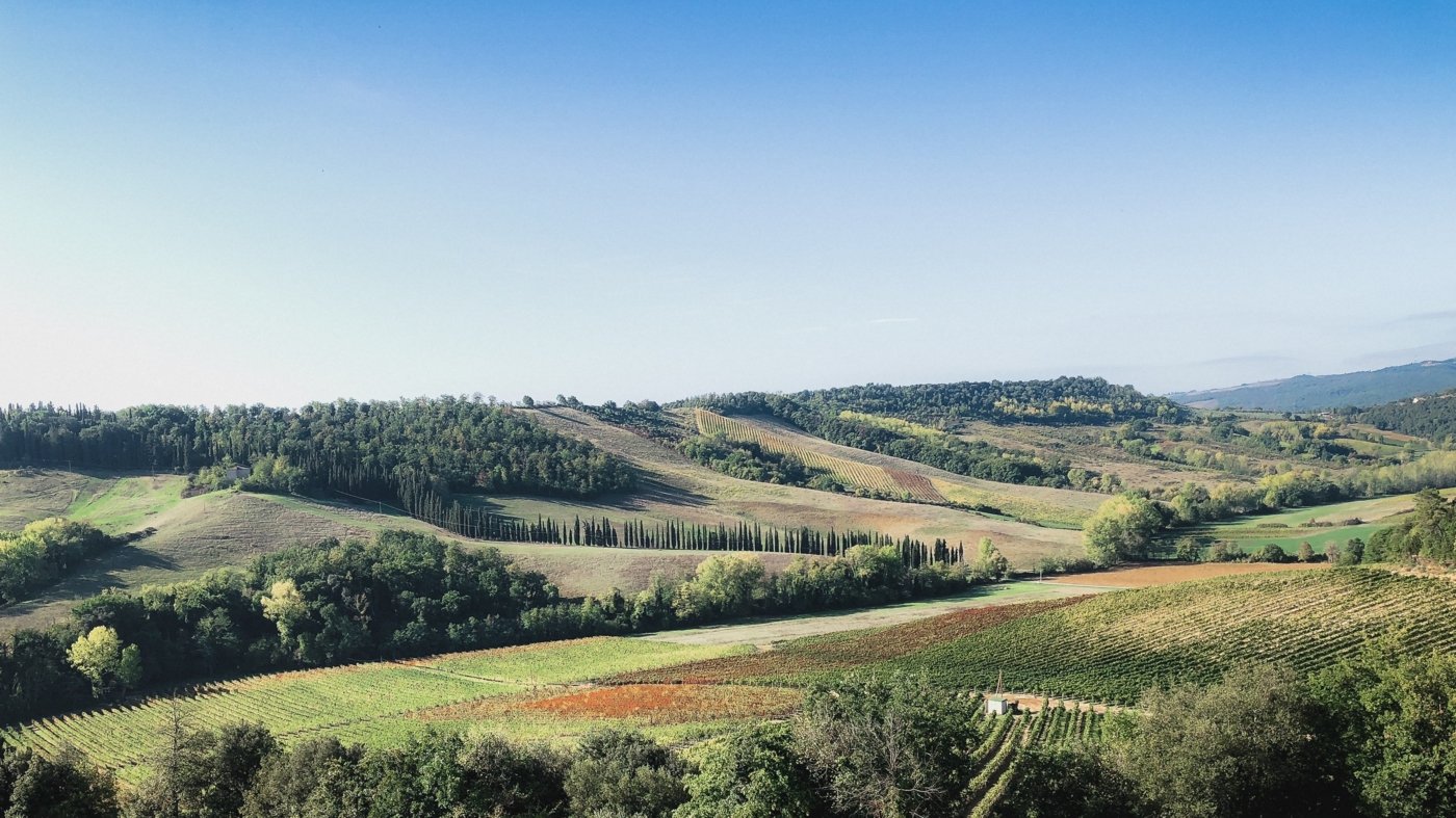 tuscany wine tours - Wine Paths