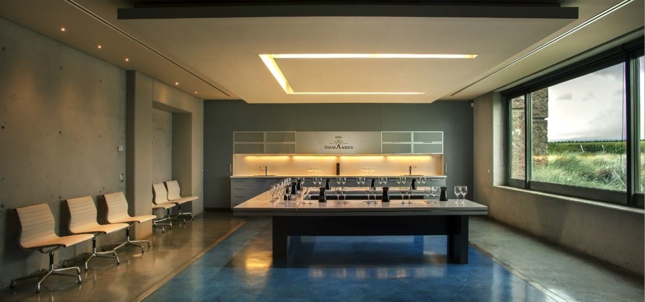 tasting room at bodegas diamandes