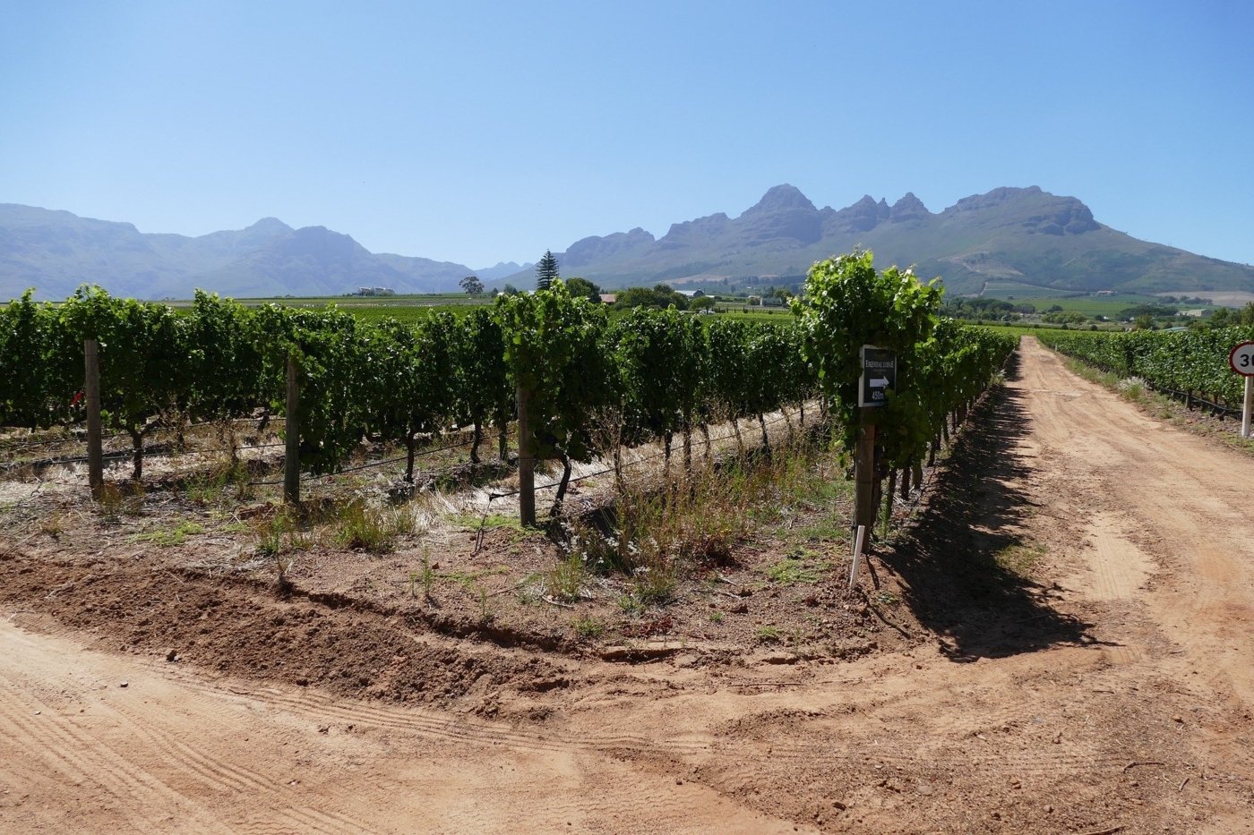 south africa wine tasting - Wine Paths